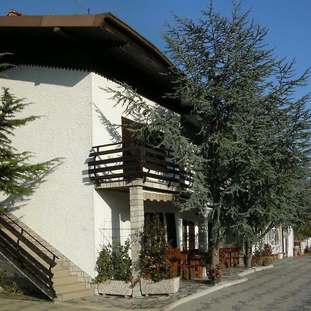 Turisticna Kmetija Birsa Villa Dobravlje Exterior foto